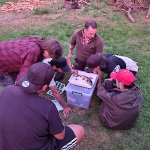 Matt Dale dissecting a trout and showing tauira.