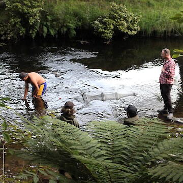 Kaloni Taylor setting the hīnaki while the other tauira watch and support.