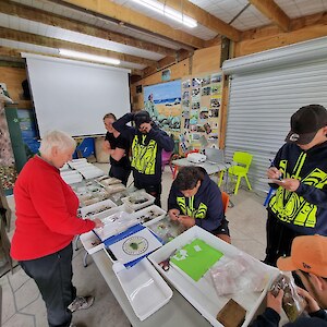 Tauira investigating seeds.