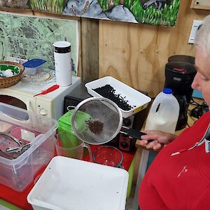 Chris Rance showing tauira the process of drying seeds.