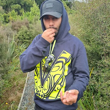 Raniera Smyth trying Mingimingi (Coprosma propinqua) and showing the seed in his other hand.