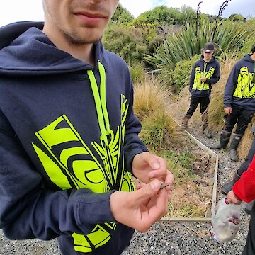 Our very own Steve Irwin (Josh Aitken) caught a Skink!