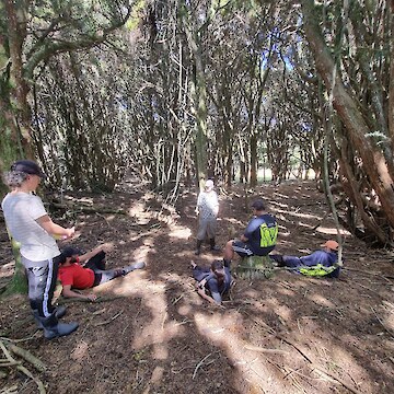 Jesse Bythell sharing facts about the Tōtara Forest.