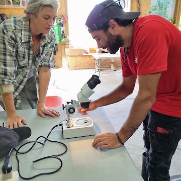 Raniera Smyth looking at an insect under microscope, with direction from Jesse Bythell.