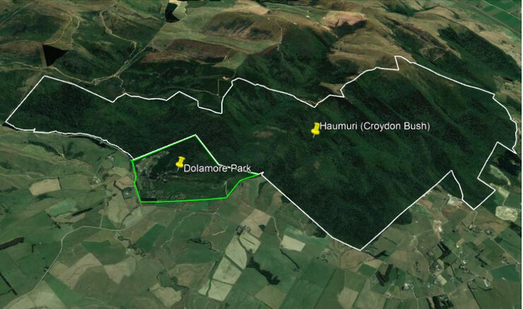 Haumuri/Croydon Bush Scenic Reserve situated approx. 12 km northwest of Gore township. White boundary is Public Conservation Land, green boundary is Gore District Council. Photo source: Google Earth.