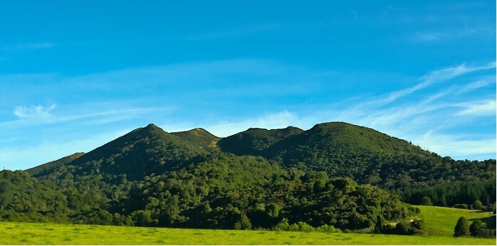The Hokonui Hills: a native forest remnant that is under threat from introduced pests. This project will be crucial in maintaining and improving the habitat and biodiversity of this culturally and ecologically important site. Photo source: Hokonui Rūnanga.