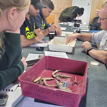 Tauira and staff participating in fishing identification.