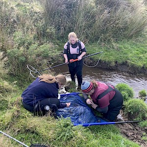 Libby Young, Mollie Lyders and Kelsi Hayes checking net for fish.