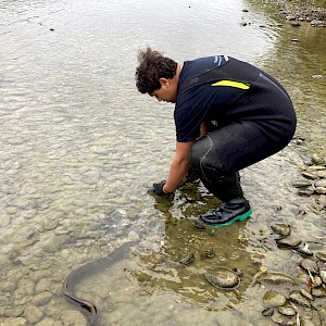 Kaloni Taylor releasing tuna after surveying.