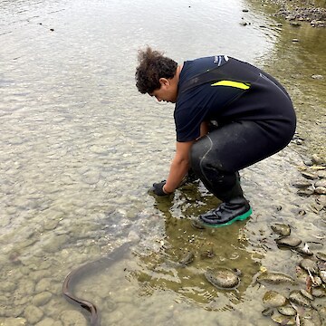 Kaloni Taylor releasing tuna after surveying.