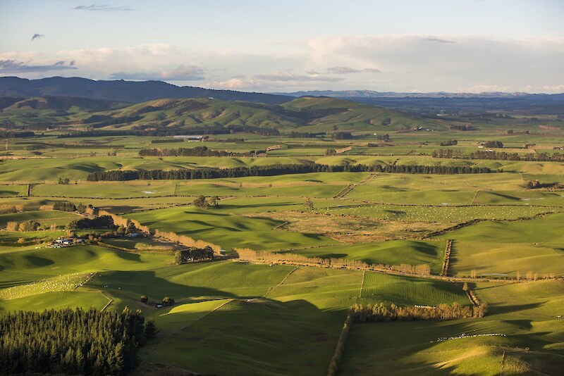 The view from the Forest Hill Reserve.