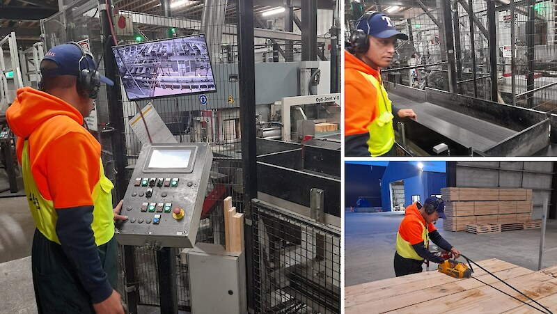 Neko has started a full-time, permanent role at Niagara.